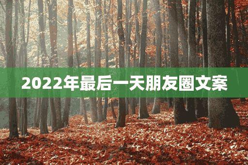 2022年最后一天朋友圈文案(2022年最后一天朋友圈文案怎么写)